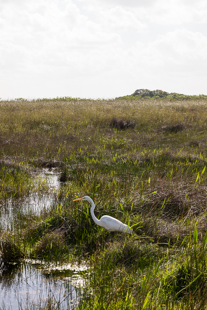 florida
